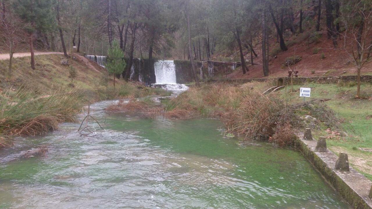 Casa Rural Arroyofrio Riopar Buitenkant foto